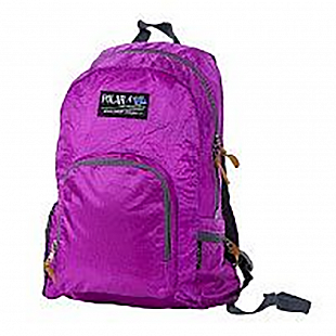 Рюкзак-трансформер Polar П2102 purple