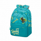 Школьный рюкзак Samsonite Color Funtime CU6-01002 Street Sports