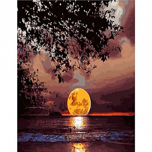 Картина по номерам Picasso Полная луна PC4050360