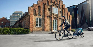 Детская мультиспортивная коляска Thule Chariot Sport1 blue (10201001)