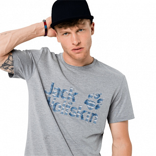 Футболка мужская Jack Wolfskin Logo Ocean T M slate grey