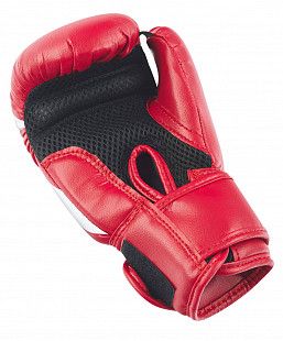 Перчатки боксерские Insane MARS IN22-BG100 4 oz	 red