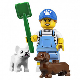 Конструктор Сюрприз LEGO Minifigures серия 19 71025