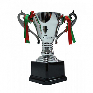 Кубок сувенирный Zez Sport F5-S Silver
