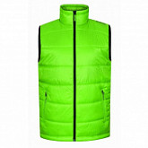 Жилет Alpine Pro Ridge 7783523 Green