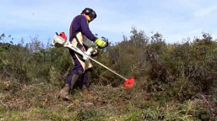 Кусторез Stihl FS 560 C-EM с ножом 41482000001