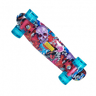 Penny board (пенни борд) Explore Apache 22" Skulls/Fishes