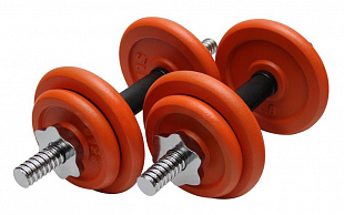 Набор гантелей USA Style SS-LDBS-213-D25 orange