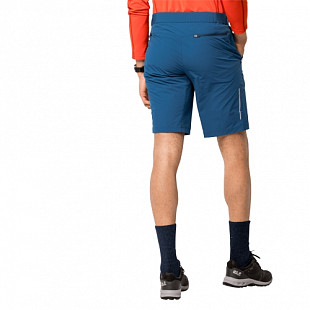 Шорты мужские Jack Wolfskin Delta Shorts M indigo blue