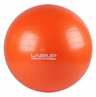 Мяч гимнастический, для фитнеса (фитбол) Liveup LS3221 (55 см)