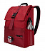 Рюкзак для ноутбука Thule Departer 23л TDSB113RF red (3204185)