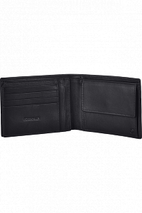 Портмоне Samsonite Success 2 SLG CT9*09 007 black