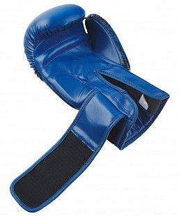 Перчатки боксерские Insane ODIN IN22-BG200 12 oz blue