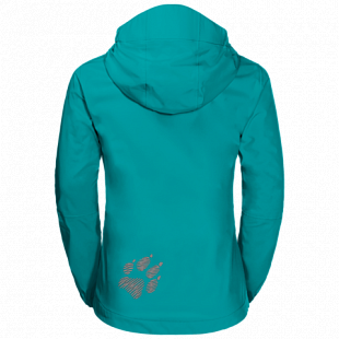 Куртка детская Jack Wolfskin Pine Creek Jacket aquamarine