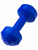 Гантели Престиж FIT Комплект 1,95 кг blue