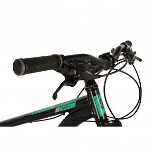 Велосипед Stinger 29" Element Pro 22" green