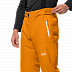 Брюки мужские Jack Wolfskin Big White Pants M rusty orange