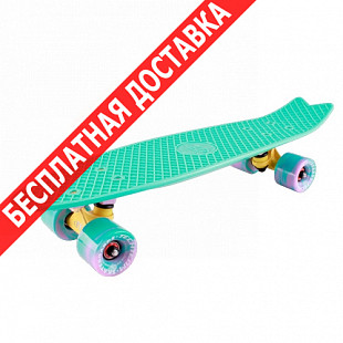 Penny board (пенни борд) Tech Team Fishboard 23" 2018 green