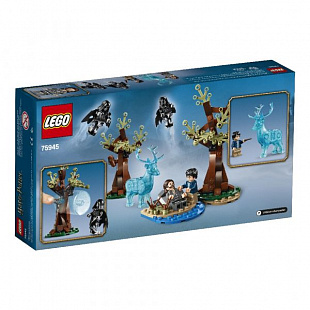 Конструктор LEGO Ninjago Экспекто Патронум! 75945