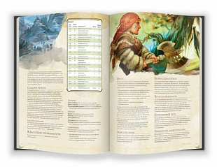 Настольная игра Hobby World Dungeons & Dragons. Книга игрока 73601-R