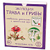 Настольная игра Правильные Игры Эволюция. Трава и грибы 13-01-07 Настольная игра Правильные Игры Эволюция. Трава и грибы 13-01-07