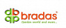 Bradas