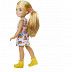 Кукла Barbie Челси и друзья (DWJ33 HGT02)