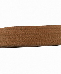 Пояс для единоборств Rusco 280 см Brown
