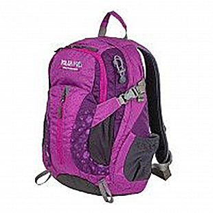 Городской рюкзак Polar П1552 purple
