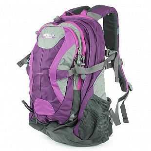 Городской рюкзак Polar П1529 purple
