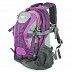 Городской рюкзак Polar П1529 purple