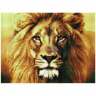 Алмазная мозаика Picasso "Царь зверей" PD3040008