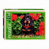 Пазл Рыжий Кот Милый щенок У104-7234