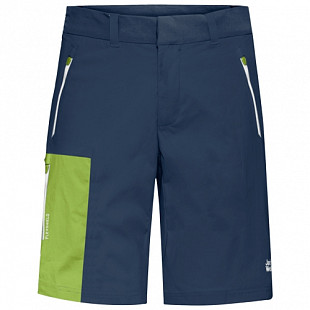 Брюки мужские Jack Wolfskin Overland Shorts M dark indigo