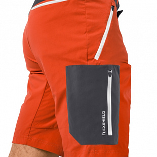 Брюки мужские Jack Wolfskin Overland Shorts M wild brier