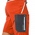 Брюки мужские Jack Wolfskin Overland Shorts M wild brier