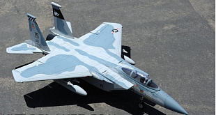 Радиоуправляемый самолёт FMS F-15 V2 FMS010P