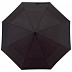 Зонт Inspirion 101191 Black