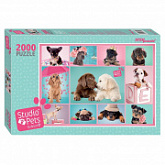 Мозаика Step Puzzle Мирна Studio Pets By Myrna 2000 84300