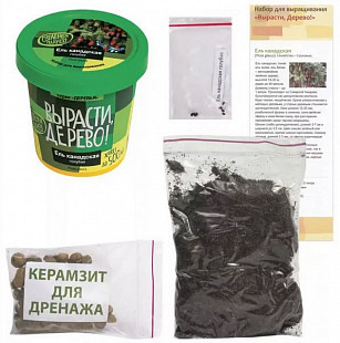 Набор для выращивания растений Вырасти, Дерево! Ель канадская голубая zk-048