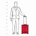 Чемодан малый Polar 20" П7109 red