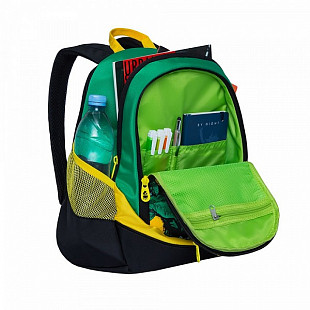 Школьный рюкзак GRIZZLY RD-953-4 lemons