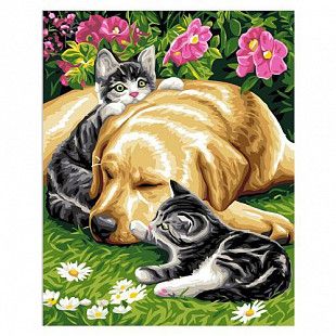 Картина по номерам Picasso Давай, просыпайся! PC4050068