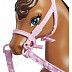 Игровой набор Barbie Барби и Стейси с лошадью (GXD65)