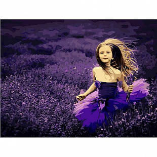 Картина по номерам Picasso В лавандовом поле PC4050017