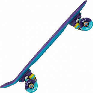 Penny board (пенни борд) Ridex Paradise 22''