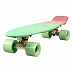 Penny board (пенни борд) Triumf Active Multicolor Mint 22" TLS-401M