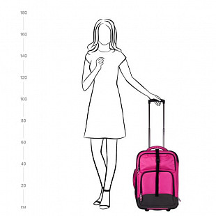 Чемодан малый Polar Р8536 20" pink