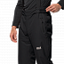 Брюки мужские Jack Wolfskin Big White Pants M black