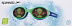 Очки для плавания Speedo Illusion Junior blue/green С620 one size